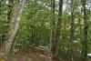 Перспективная ООПТ Западный склон горы Острая